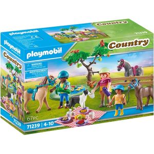 Playmobil 71239 Country Picknick excursie met paarden, Multi kleuren,Eén maat