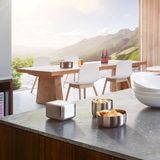 Blomus Botervloot Basic Groot