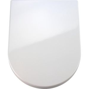 Wenko - Premium WC-Sitz Palma, aus antibakteriellem Duroplast mit Absenkautomatik, Weiß, Duroplast weiß , Edelstahl rostfrei silber matt - weiß
