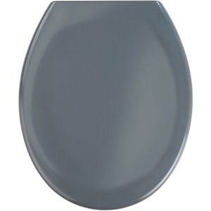 Premium WC-Sitz Ottana Dunkelgrau, aus antibakteriellem Duroplast mit Absenkautomatik, Grau, Duroplast dunkelgrau , Edelstahl rostfrei silber matt