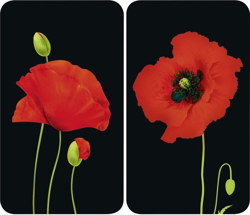 MAXIMEX - Glazen Beschermplaten Voor Fornuis - 2 Stuks - Hittebestendig Glas