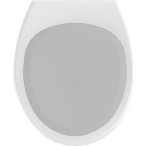 WENKO WC-Sitz »Secura Premium«, aus antibakteriellem Duroplast, bis 150 KG belastbar