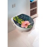 WENKO Wc-bril hoogglans acryl spa, hoogglans oppervlak, hygiënisch toiletdeksel met softclosemechanisme, van antibacterieel duroplast 39 x 45 cm