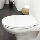 Tiger Pasadena - WC bril - Toiletbril met deksel- Softclose - Easy Clean functie - Thermoplast - Wit