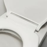 Toiletzitting tiger burton softclose duroplast wit