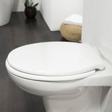 Tiger Boston - WC bril - Toiletbril met deksel - Soft close - Easy Clean functie - Duroplast - Wit / RVS geborsteld