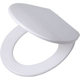 Tiger Boston - WC bril - Toiletbril met deksel - Soft close - Easy Clean functie - Duroplast - Wit / RVS geborsteld