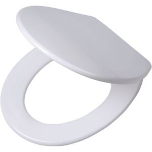 Tiger Boston - WC bril - Toiletbril met deksel - Soft close - Easy Clean functie - Duroplast - Wit / RVS geborsteld