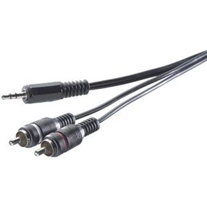 SpeaKa Professional - Adapterkabel - 3,5 mm Jack naar 2x Cinch - Zwart - 3 m