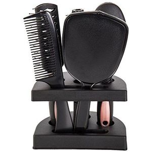 5 stuks haarborstelkamhouderset met spiegel, kam-spiegelset, antistatische haarborstelkam, hoofdmassageapparaat, kam ontwarren, haarborstelhouderset met spiegel en standaard voor salon (roze)