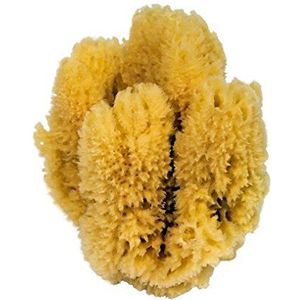 Croll & Denecke Natuurlijke spons, natuur