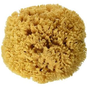 CROLL & DENECKE P170, natuurlijke spons, zeespons, met de hand veredeld uit de zee, 17 cm, natuur, 1 stuk