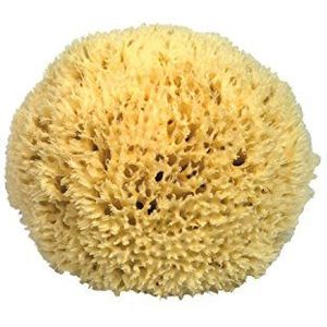 Croll & Denecke Natuurlijke spons, natuur, ca. 25 cm