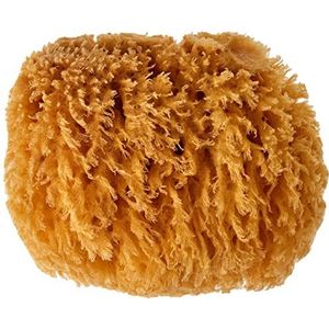 CROLL & DENECKE natuurlijke spons, natuur