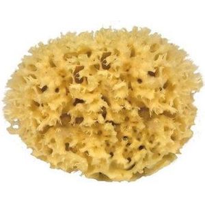 Croll & Denecke Natuurspons – Natuurlijke spons – Badspons – 100% Natuurlijk & Plasticvrij – ⌀ 10 cm