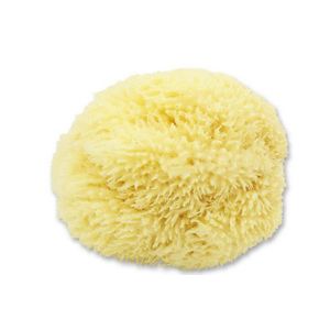 Croll & Denecke Natuurspons – Natuurlijke spons – Badspons – 100% Natuurlijk & Plasticvrij - ⌀ 12 cm