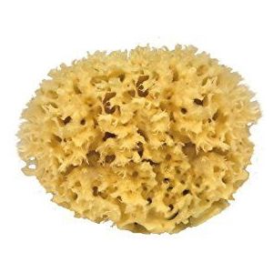 CROLL & DENECKE Natuurlijke spons, natuur, ca. 15 cm