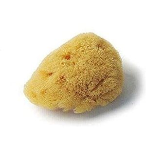 CROLL & DENECKE Natuurspons, voor het baden en douchen, met de hand veredeld, levantijners uit de zee, 5 cm