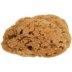 Natuur Spons voor de schilder - 16-18cm