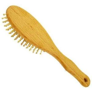 Hairbrush Oval With Wooden Pins