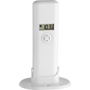 Buitenthermometer, groot model - Thermometers - De Wiltfang