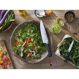 Zwilling - Four Star - Messenset - 3-delig - RVS