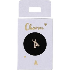 Bedel - Charms - Verzilverd/Verguld - Diverse Icoonvormen