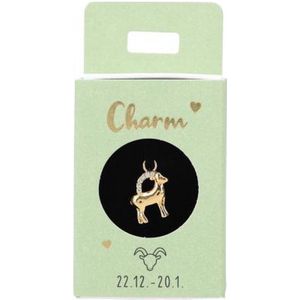 Charms - Letters en Sterrenbeelden - Verzilverd of Verguld - Met Steentjes