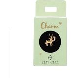 Depesche - Oorbelhanger - Boogschutter - Verzilverd - Charm