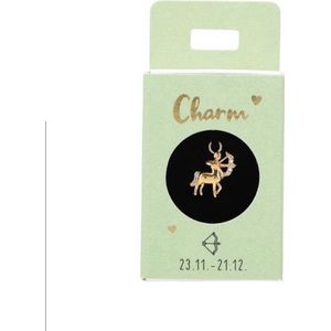 Depesche - Oorbelhanger - Boogschutter - Verzilverd - Charm