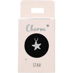 Charms - Letters en Icoontjes - Verzilverd en Verguld - Gekleurd Steentje