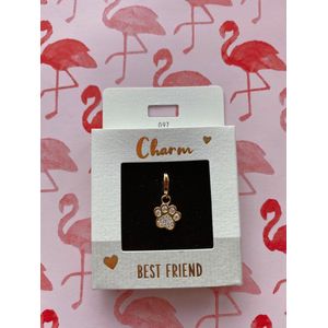 Depesche 11785-097 Express Yourself Charms - hanger voor kettingen en armbanden, poot, verguld, als klein cadeau