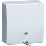 Peha - Opbouw Trekschakelaar - Creme RAL1013 - 250 Volt - 10 Ampere