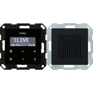 Gira Inbouwradio RDS luidsprekersysteem 55 Zwart m (FM), Radio, Zwart