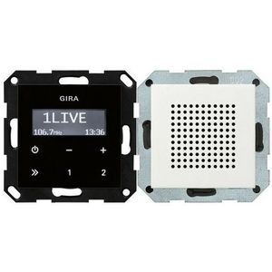 Gira - Inbouwradio RDS - Radio - Wit - LCD-display