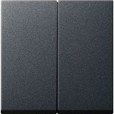 Gira Systeem 55 Besturingselement/Centrale Plaat Schakelmateriaal - 029528 - E29DV