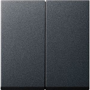 Gira Systeem 55 Besturingselement/Centrale Plaat Schakelmateriaal - 029528 - E29DV