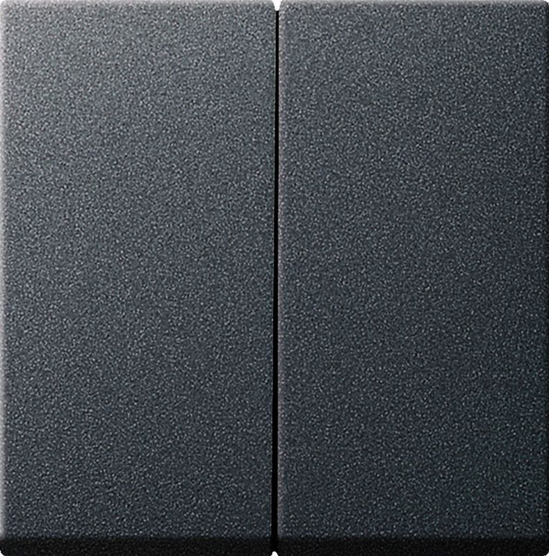 Gira Systeem 55 Besturingselement/Centrale Plaat Schakelmateriaal - 029528 - E29DV