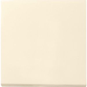 Gira Systeem 55 Besturingselement/Centrale plaat Schakelmateriaal - 029601 - E2FU7