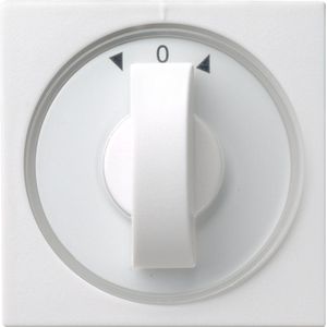 Gira Systeem 55 Besturingselement/Centrale plaat Schakelmateriaal - 066603 - E2FVV
