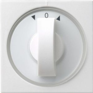 Gira Systeem 55 Besturingselement/Centrale plaat Schakelmateriaal - 066603 - E2FVV