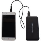 2GO Powerbank Basic Powerbank 10.000 mAh 2 x USB met micro-USB-kabel