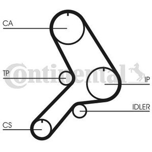 Distributieriem CONTINENTAL CT613