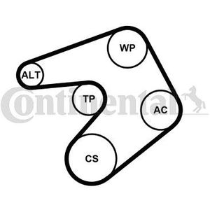 Poly V-riem set CONTINENTAL 6PK1244K1
