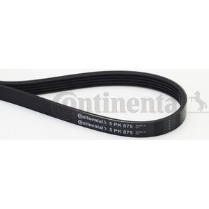 CONTITECH - Poly-V-riem - 5PK875 - Multi-V-riem - Voor Ford, Renault, Honda
