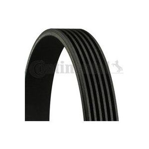 Poly V-riem CONTINENTAL 6PK1205
