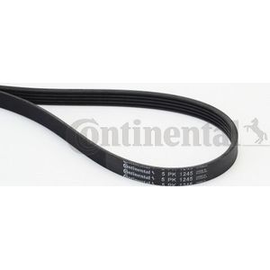CONTITECH - 5PK1245 - Poly-V-riem - 1245 mm - Voor MERCEDES-BENZ