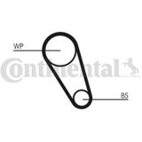 CONTITECH Waterpomp + Distributieriem Set VW,AUDI,SKODA CT1185WP3 04E121600P,04E121605L,04C121605 Waterpomp+Tandriemen 04E121600CB,04E121600CC