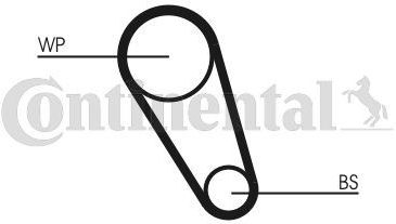 CONTITECH Waterpomp + Distributieriem Set VW,AUDI,SKODA CT1185WP3 04E121600P,04E121605L,04C121605 Waterpomp+Tandriemen 04E121600CB,04E121600CC