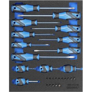 GEDORE Schroevendraaierset in Check-Tool-module, 15-delig, 1 stuk, 2005 CT2-2160